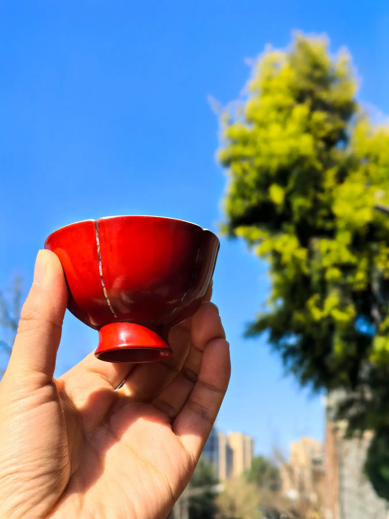 Chengdu Lacquerware for Tea · 成都漆器 · 茶器
